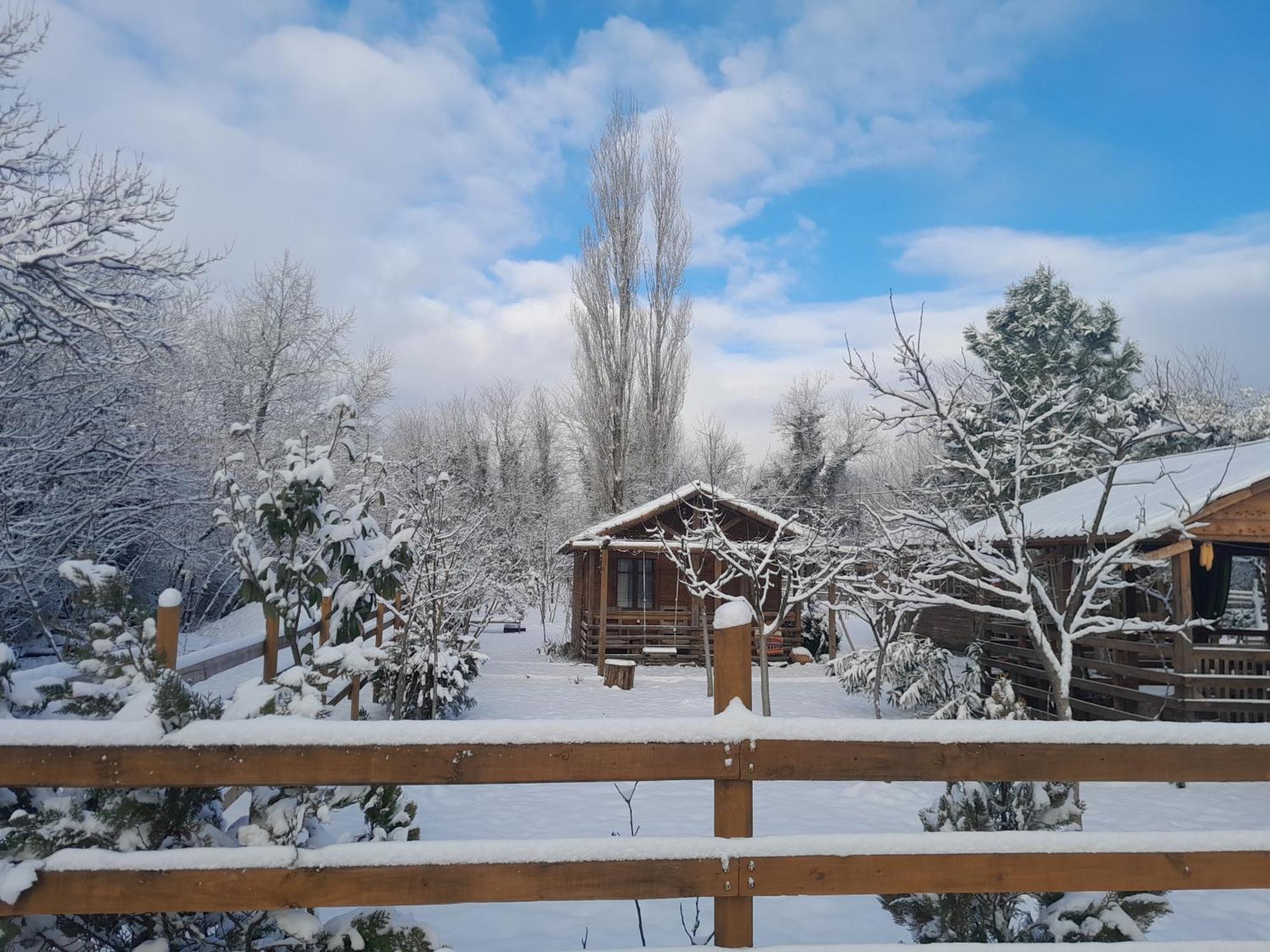 Tiny Houses Genacvale Martvili Exterior photo